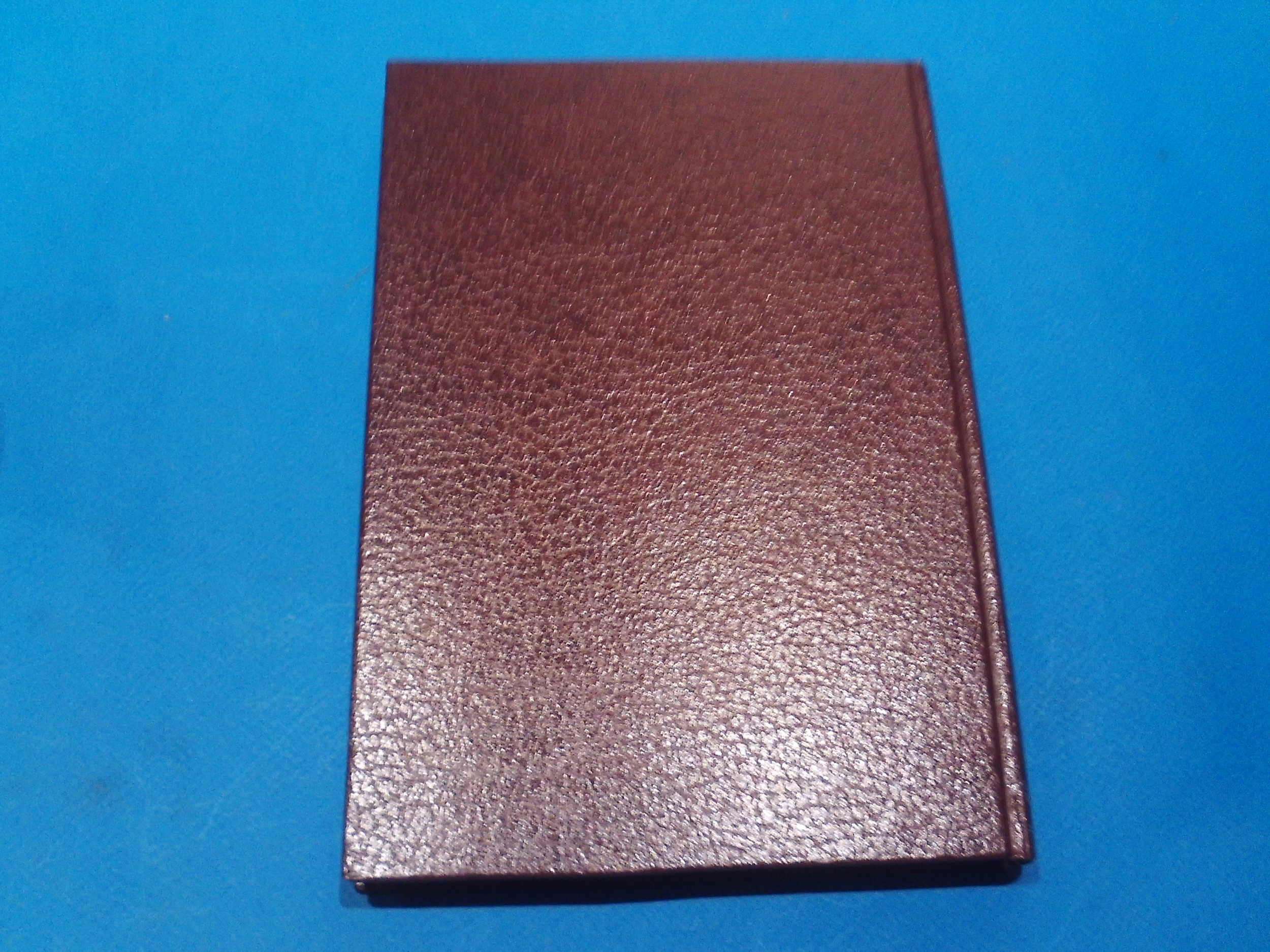 SUNP0113