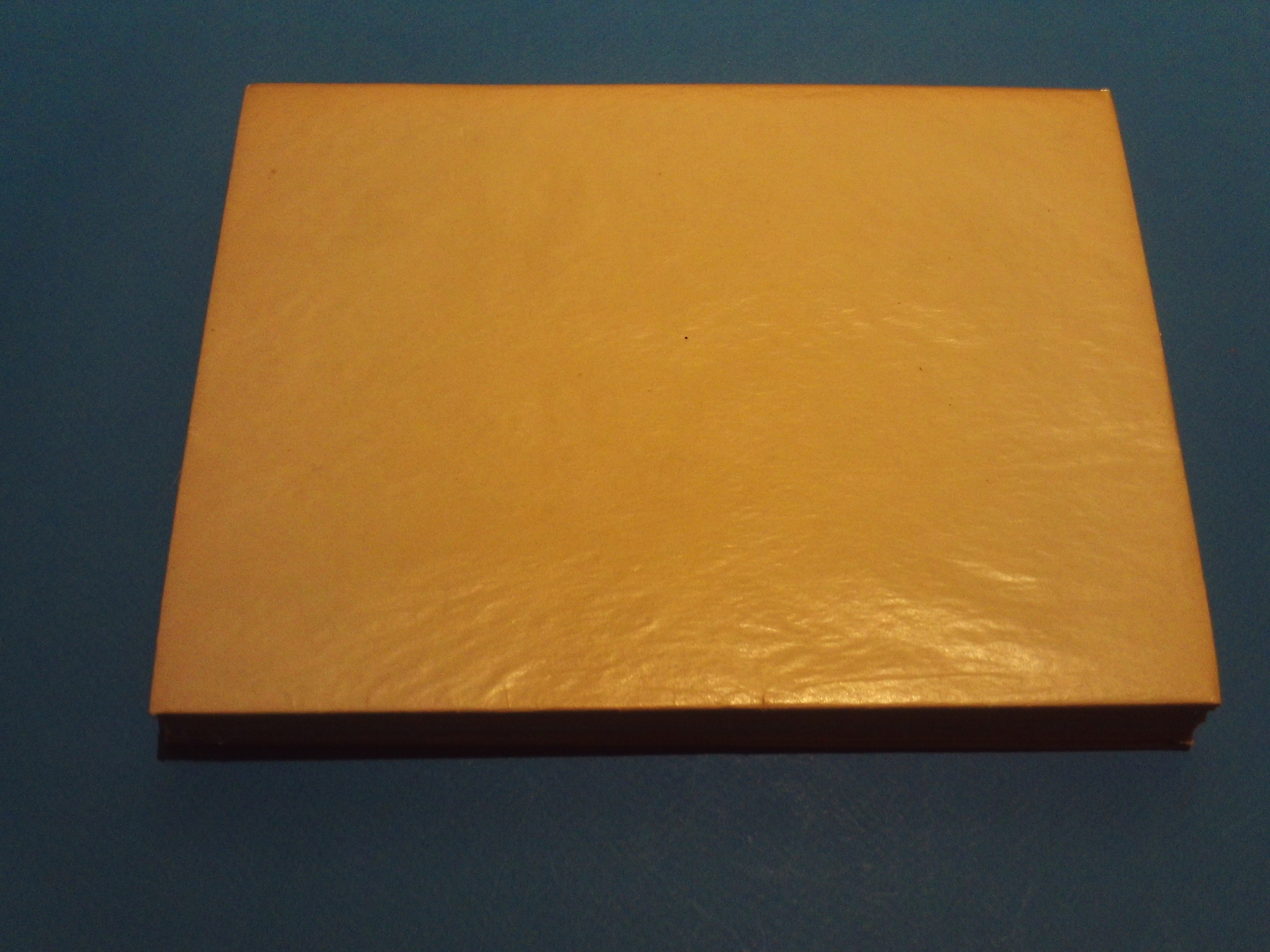 SUNP0004