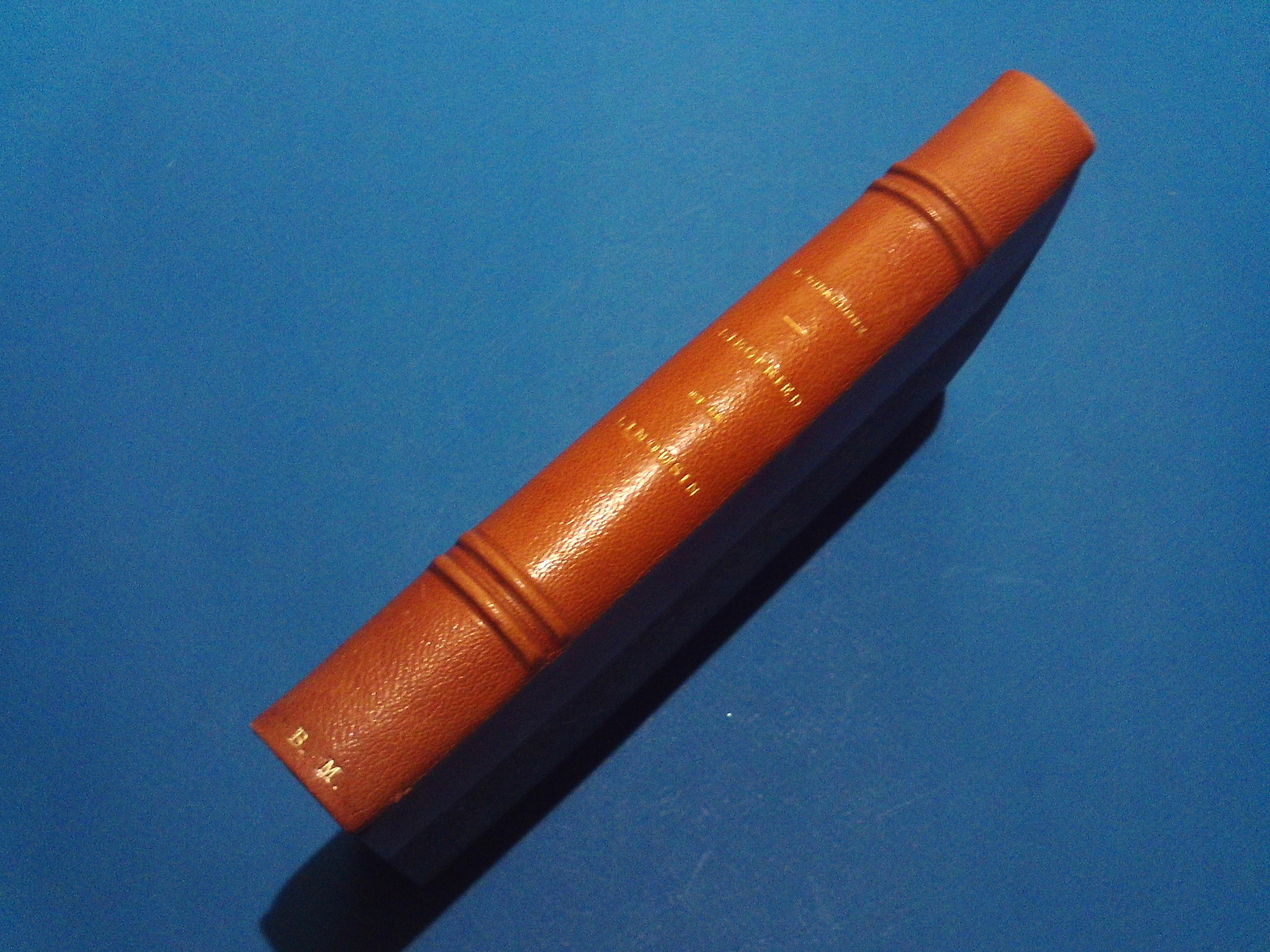 SUNP0019
