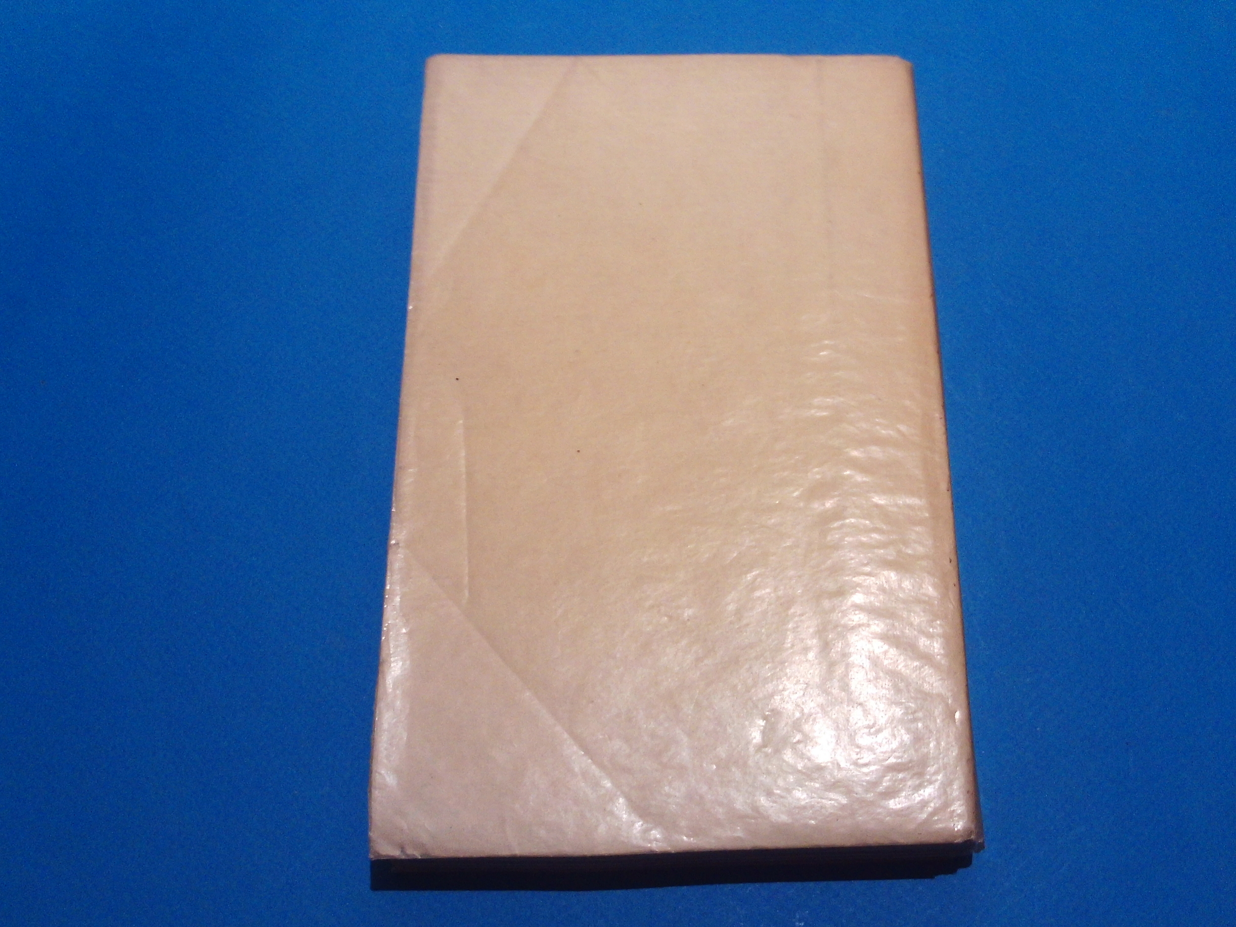SUNP0105