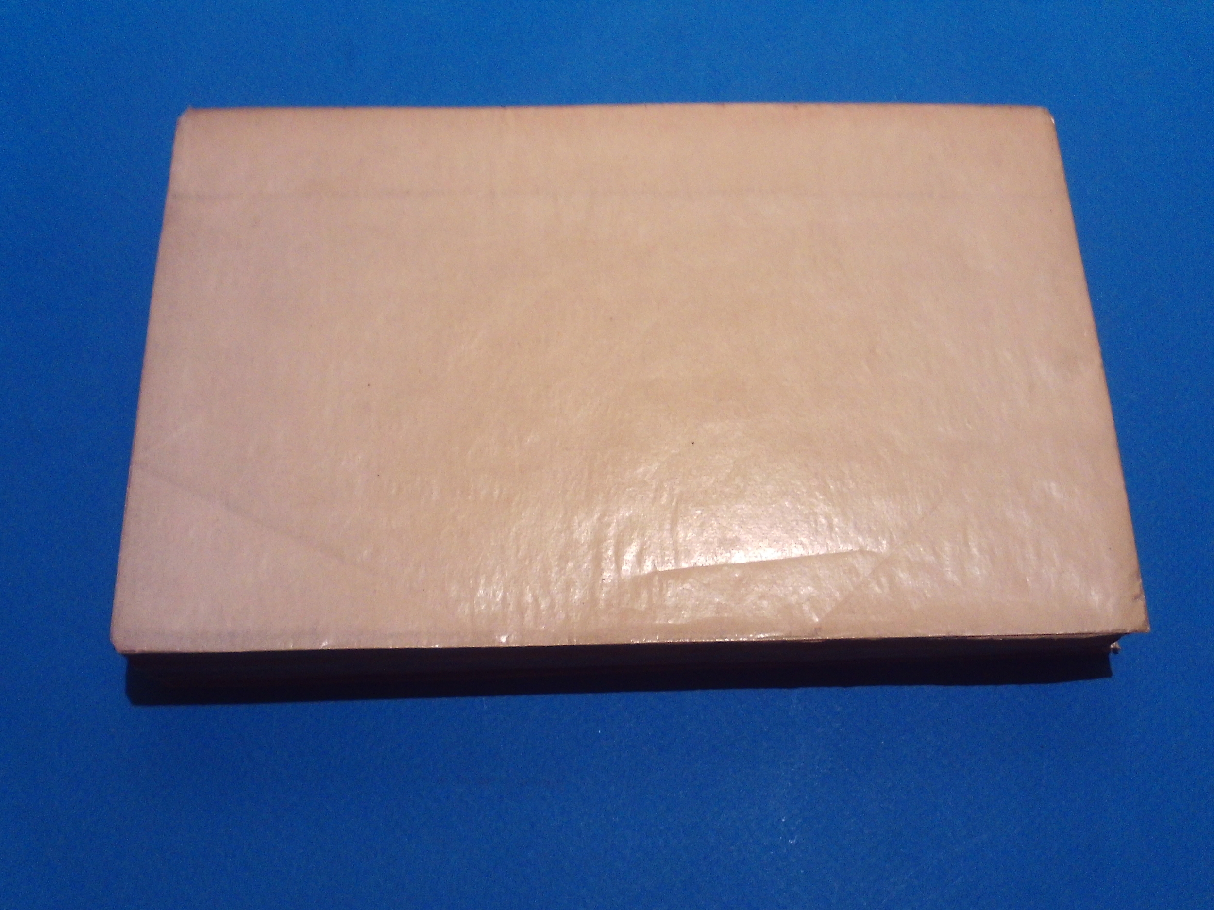 SUNP0106