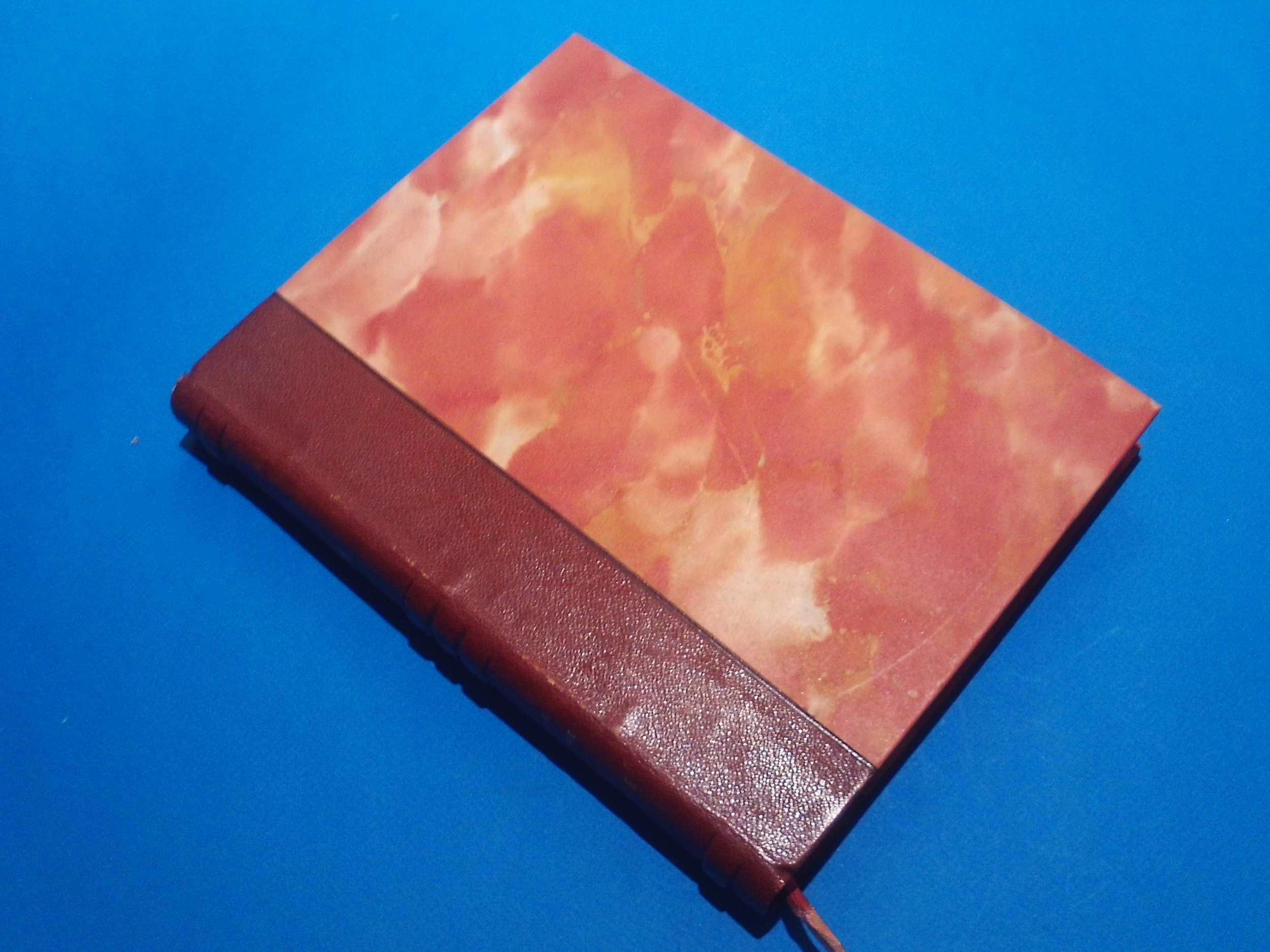 SUNP0081