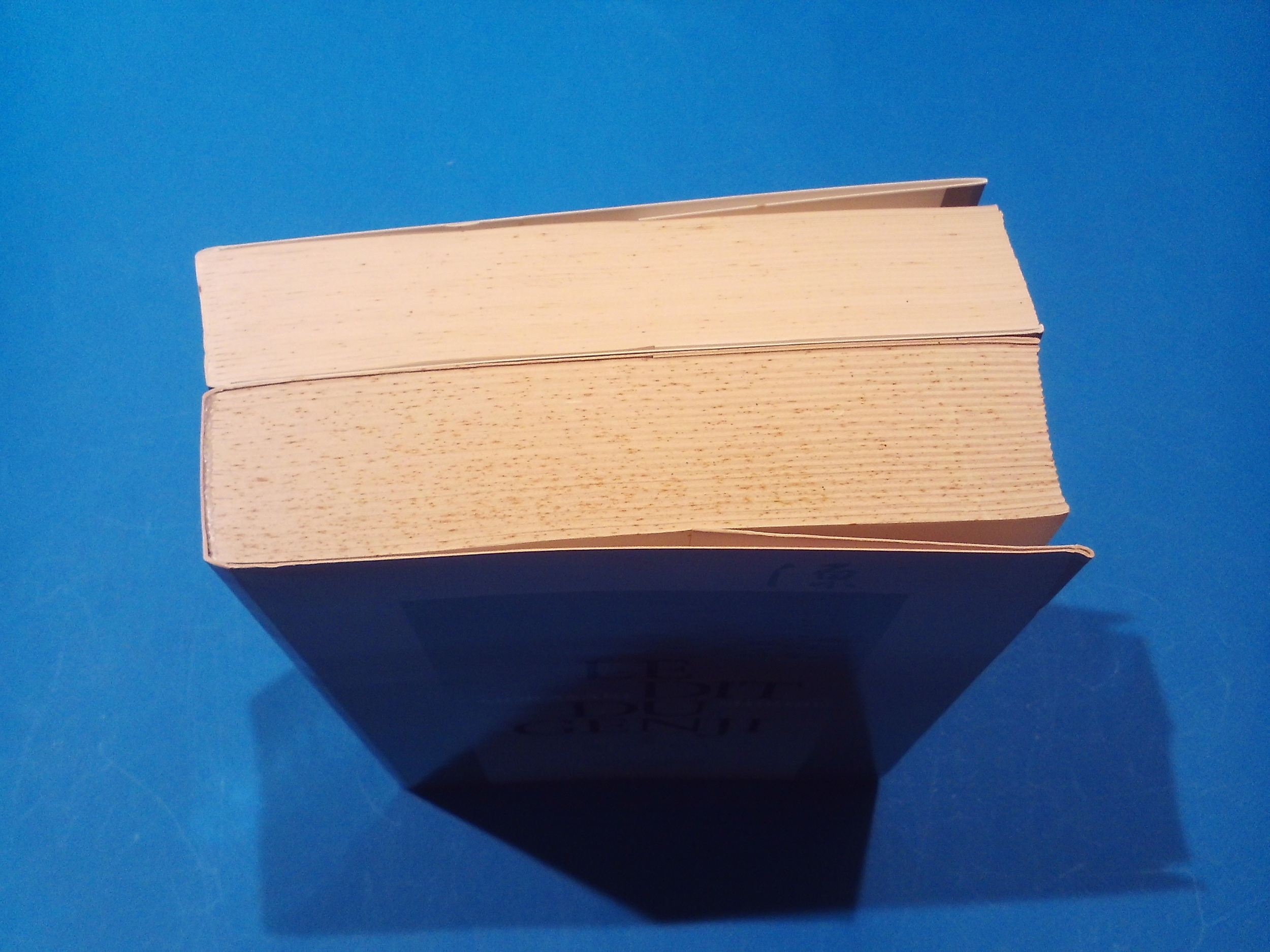 SUNP0035