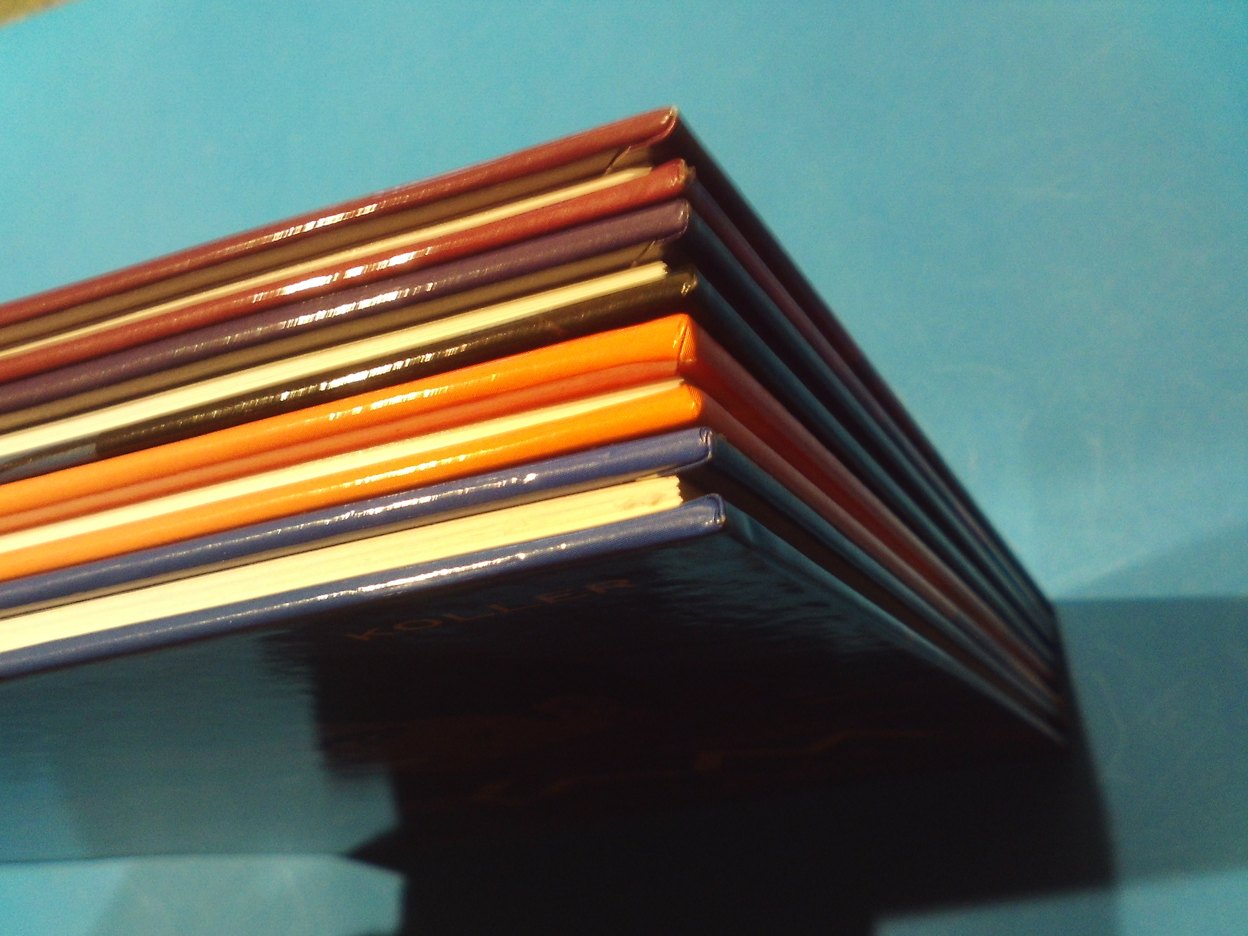 SUNP0010