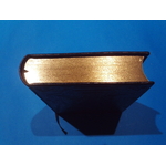 SUNP0019