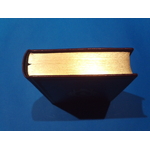 SUNP0031