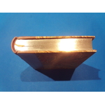 SUNP0008