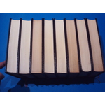 SUNP0100