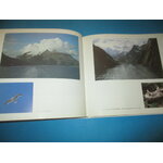 IMG_7164