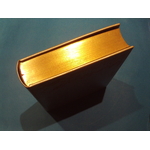 SUNP0008
