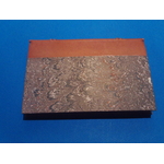 SUNP0017
