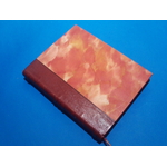 SUNP0081