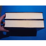 SUNP0060