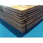 SUNP0011