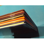 SUNP0010