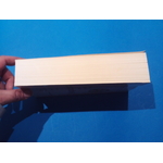 SUNP0024