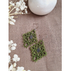 Boucles ANA Breloque de SO Frivole vert