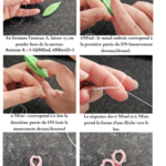 tutoriel-modele-uda-sofrivole-pdf-page-frivolite