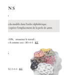 extrait_modele_lea_sofrivole_pdf