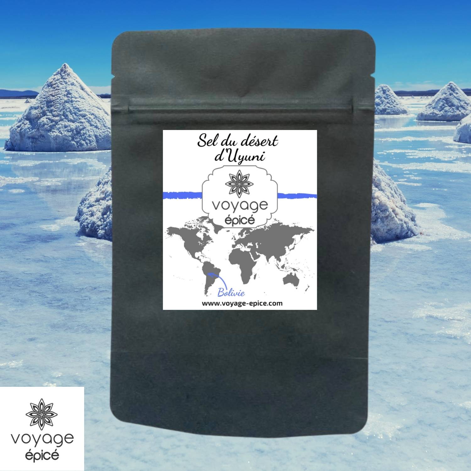 Sel-du-desert-Uyuni-bolivie-voyage-epice-sachet