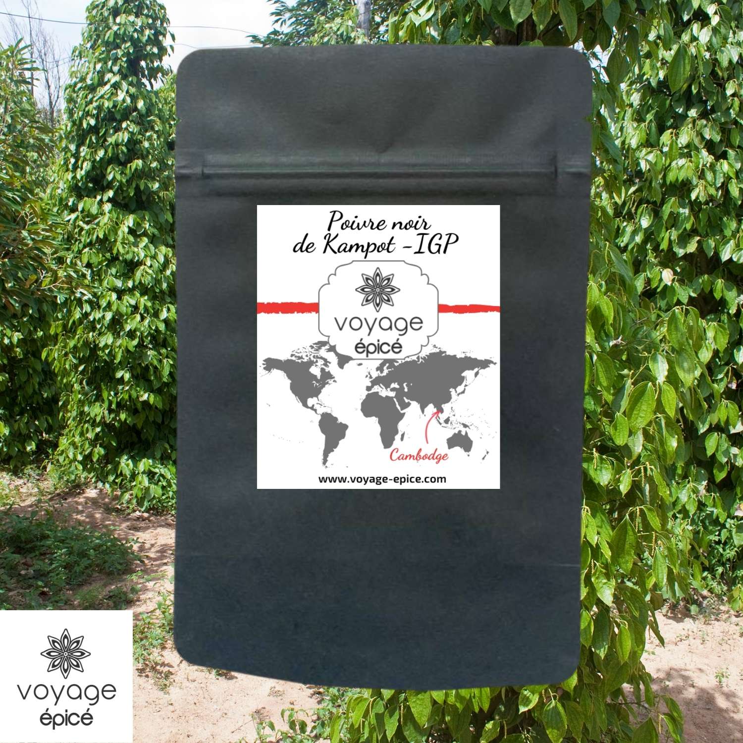 Poivre-noir-de-Kampot-IGP-Cambodge-voyage-epice-sachet