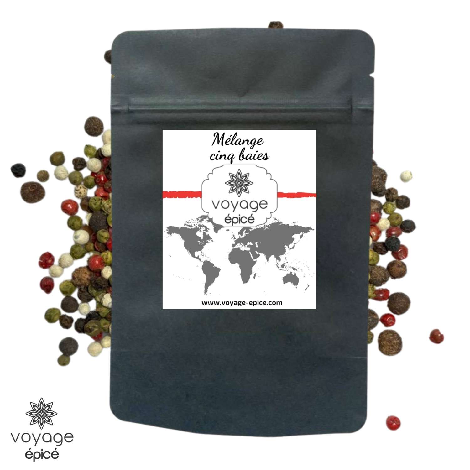 Mélange-cinq-baies-voyage-epice-sachet