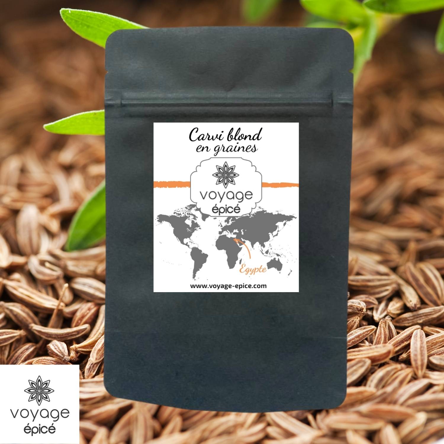 Carvi-blond-en-graines-egypte-voyage-epice-sachet