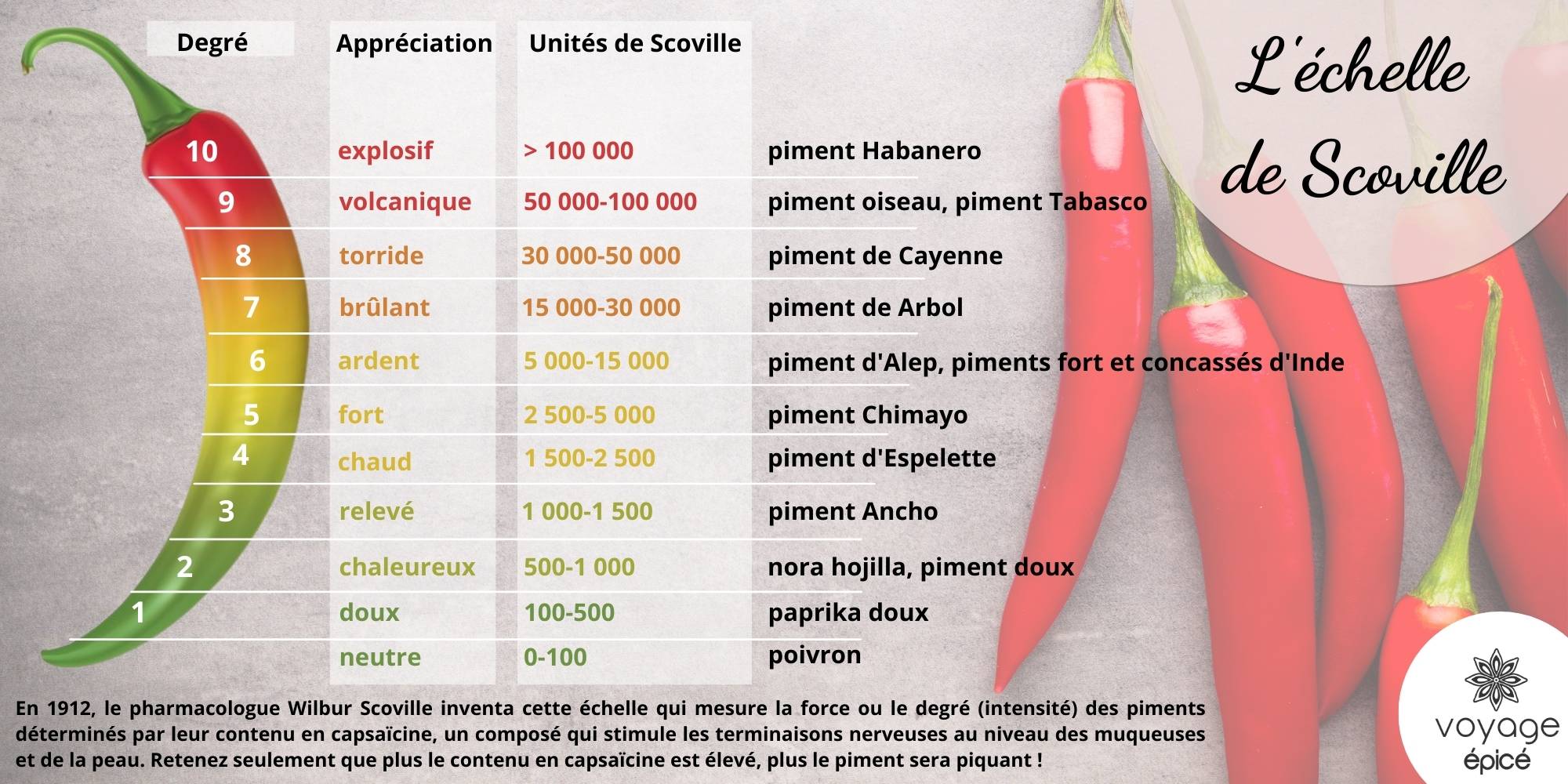 Le Piment L pice Qui Met Vos Papilles Dans Tous Ses tats Article Le Piment L pice Qui Met Vos Papilles Dans Tous Ses tats Article