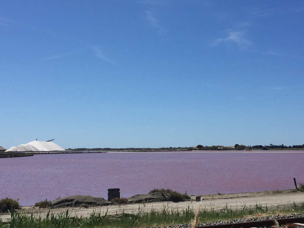 salins-aigues-mortes-france-sels-camargue-voyage-épicé