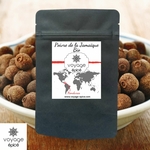 Piment-de-la-Jamaïque-Bio-honduras-voyage-epice-sachet