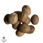 Noix-de-muscade-indonésie-voyage-epice-sachet-poids
