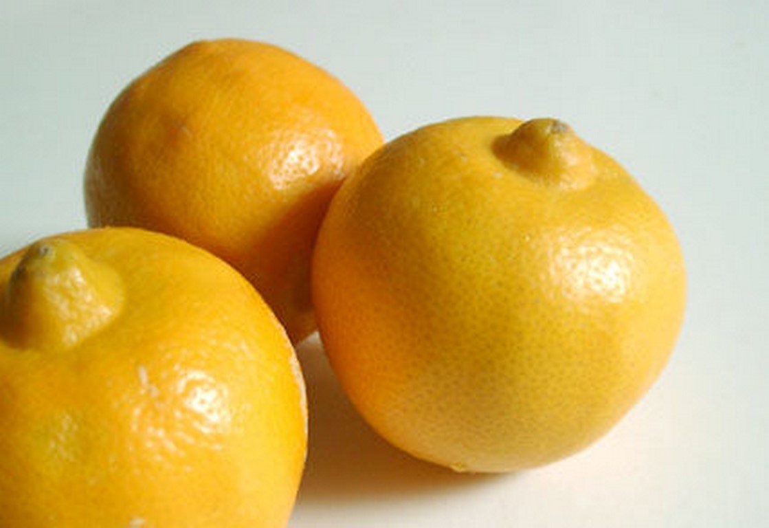bergamote-fruit (Copier)