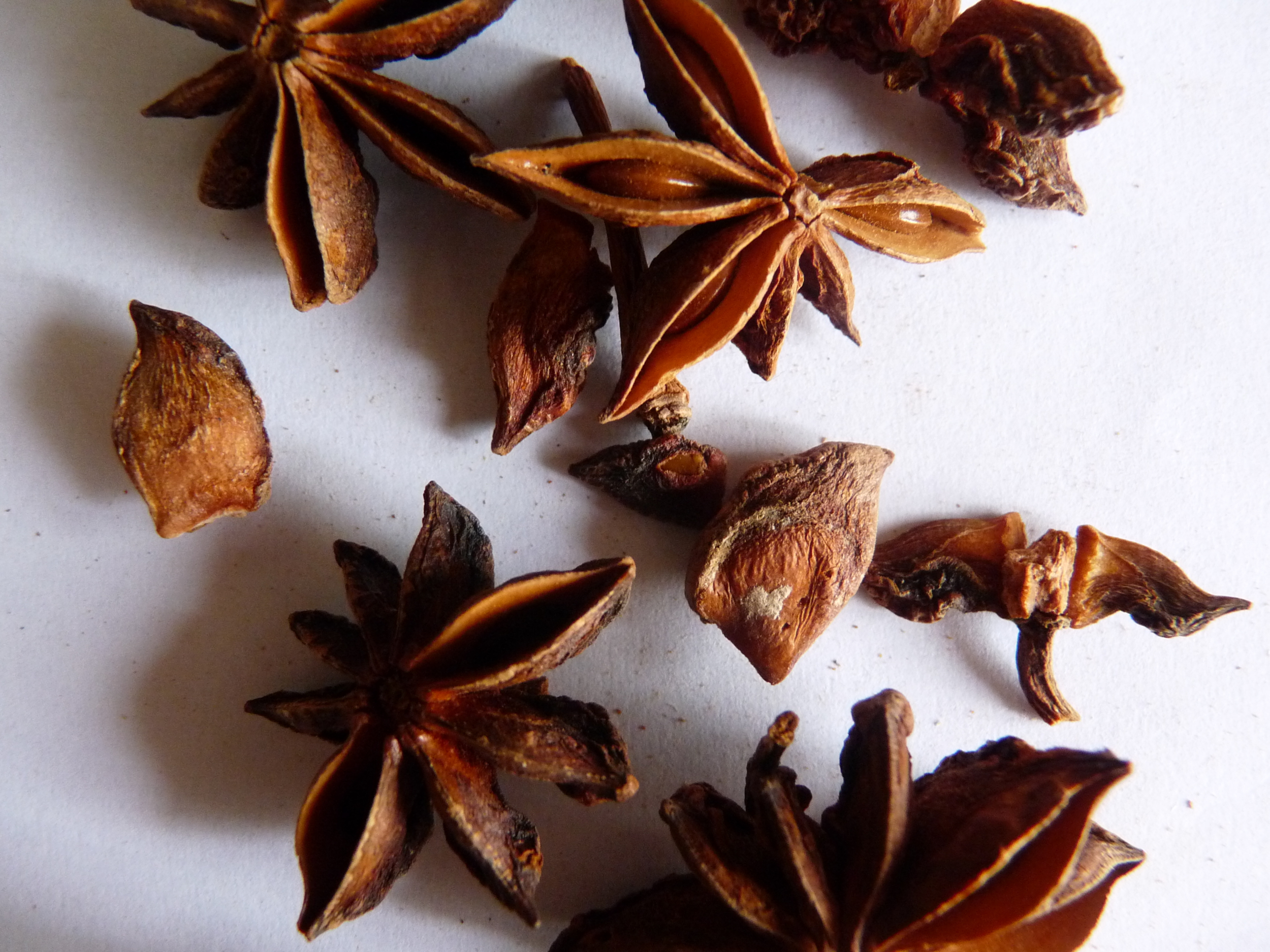 Star Anise (Badiane) – 25g – All-Natural Spice For Roasts, Infusions, Pastry