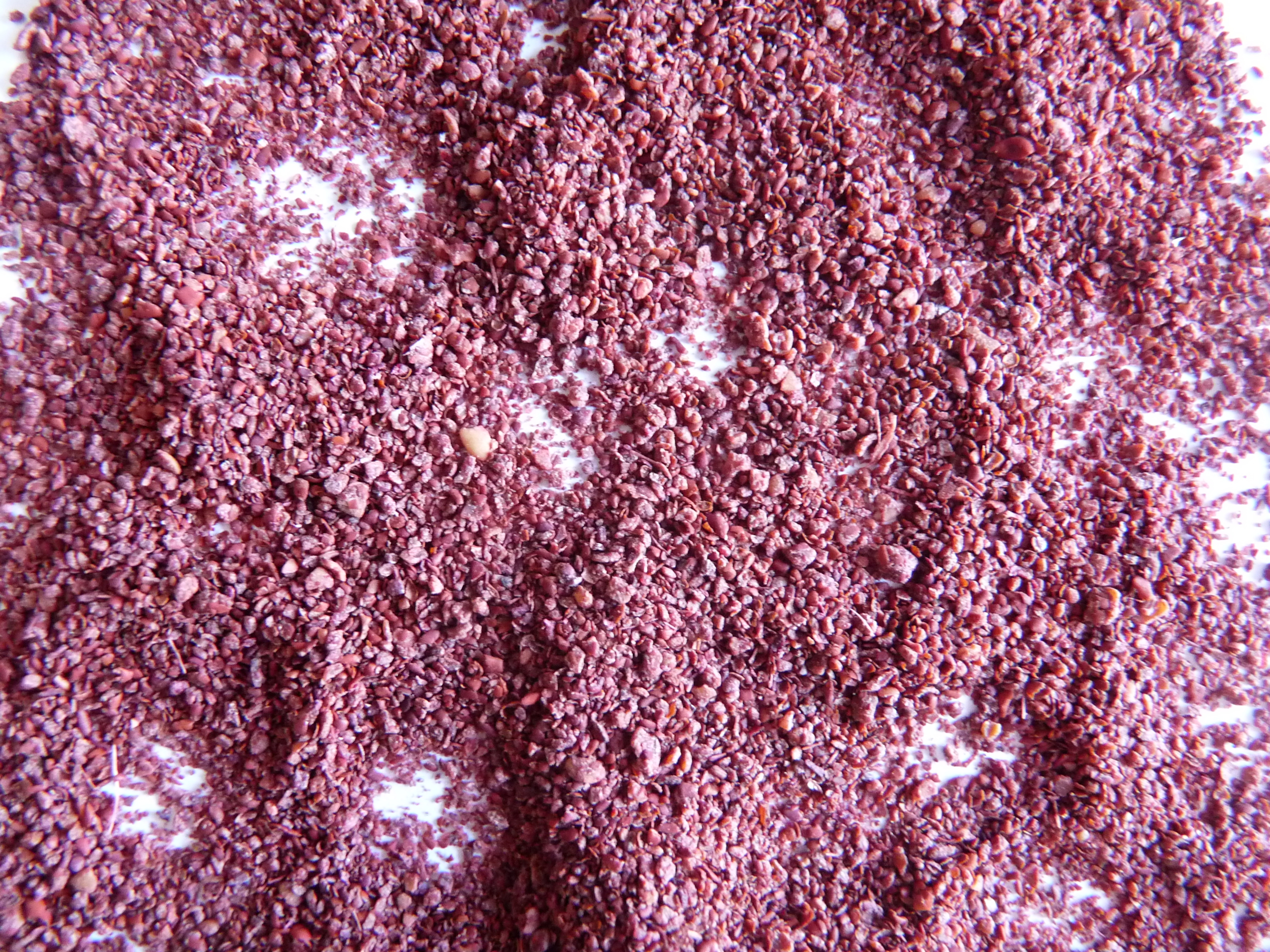 Sumac en poudre en gros plan