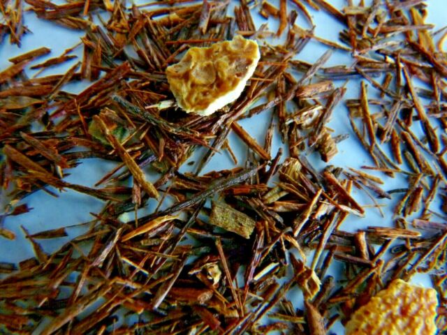 Rooibos orange cannelle 3