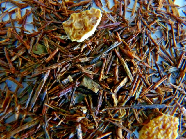 Rooibos orange cannelle 4