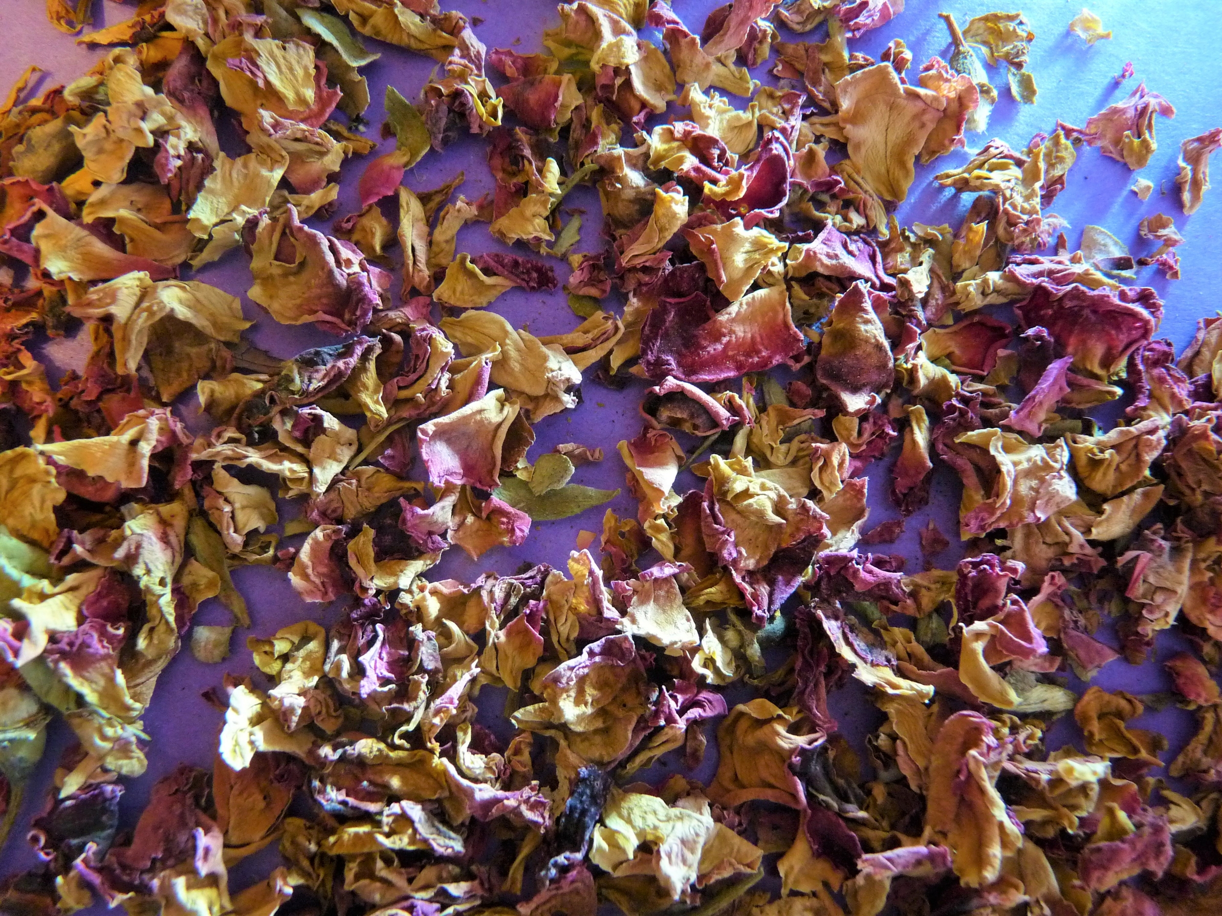 Pétale rose 2 (2)