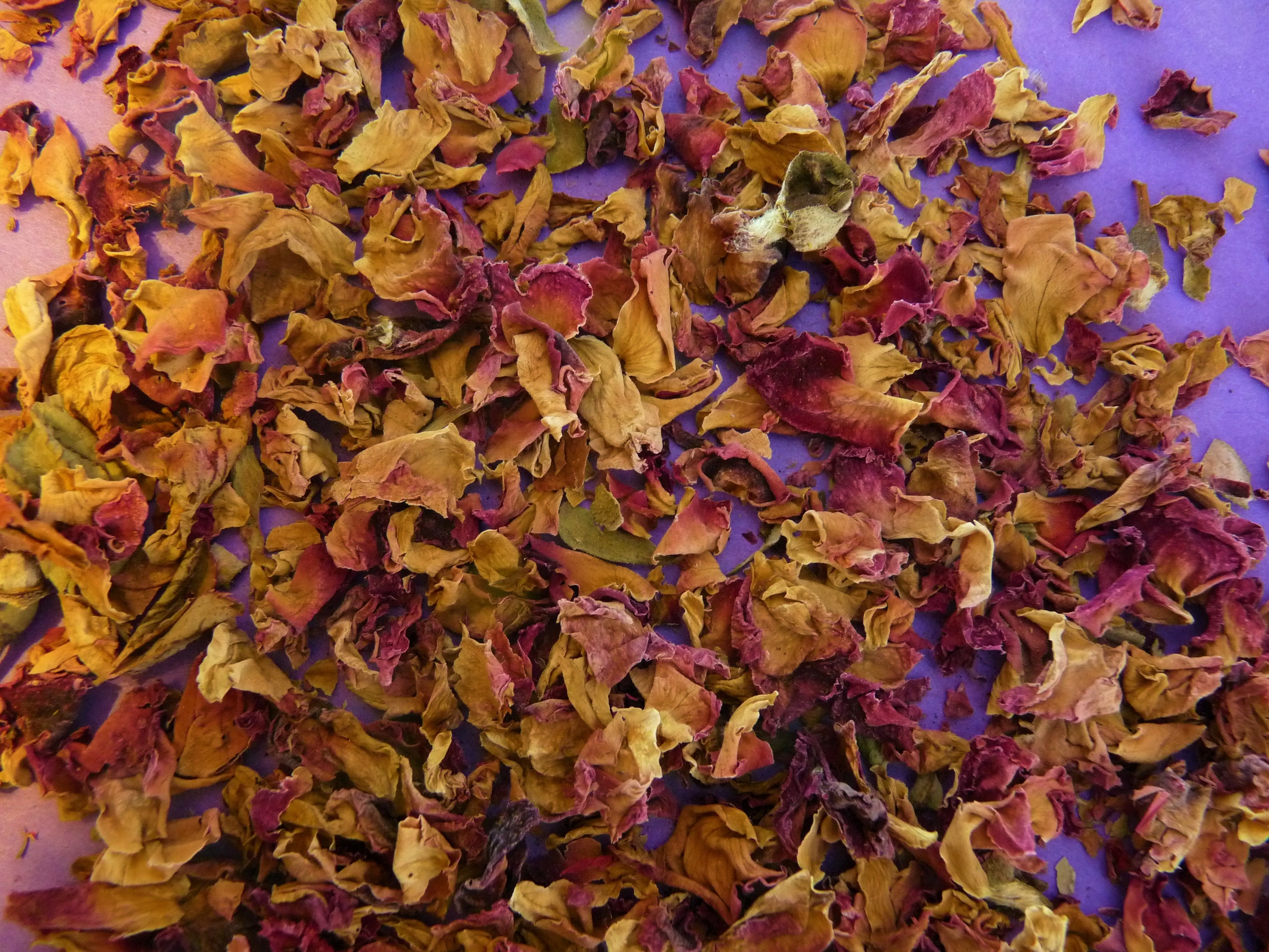 Pétale rose 3 (2)