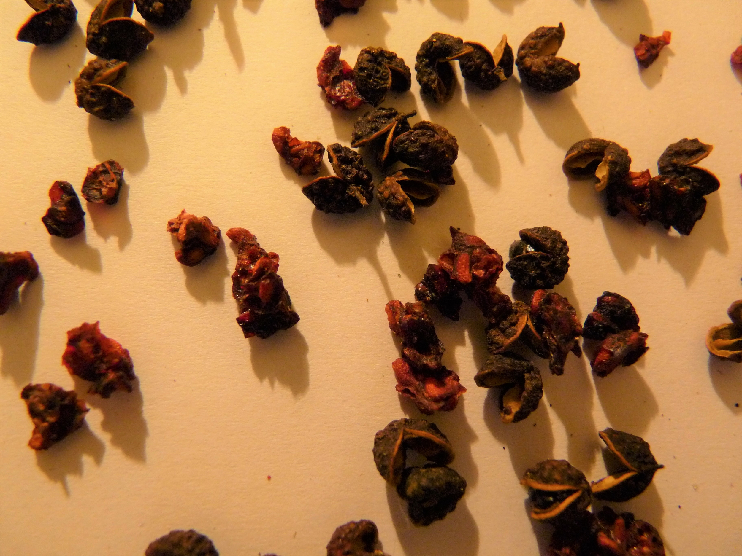 timut framboises 1