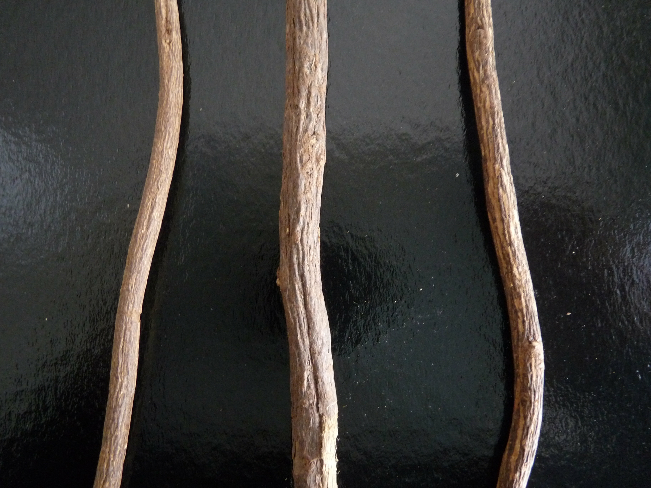 P1040792