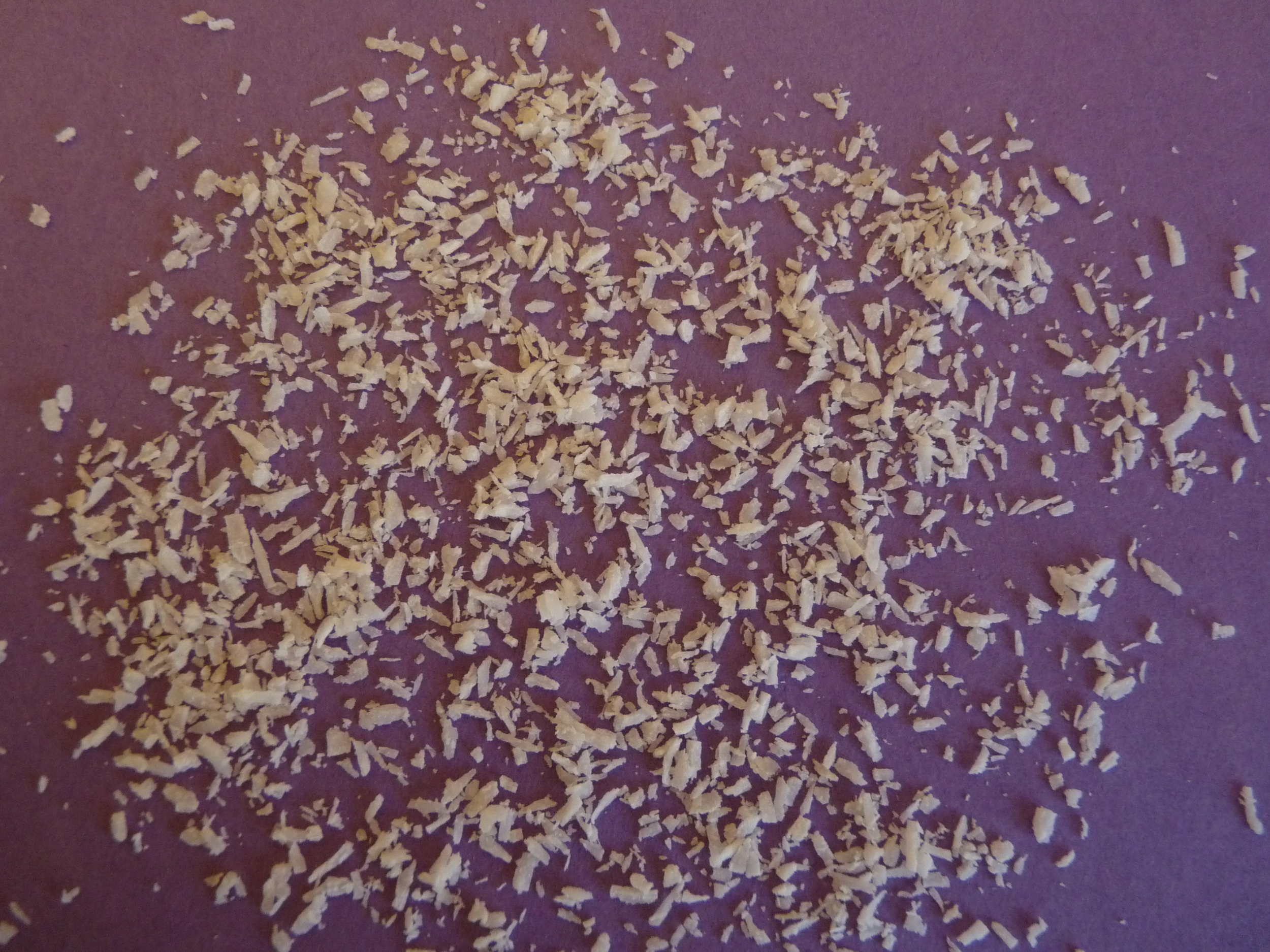 noix de coco 1