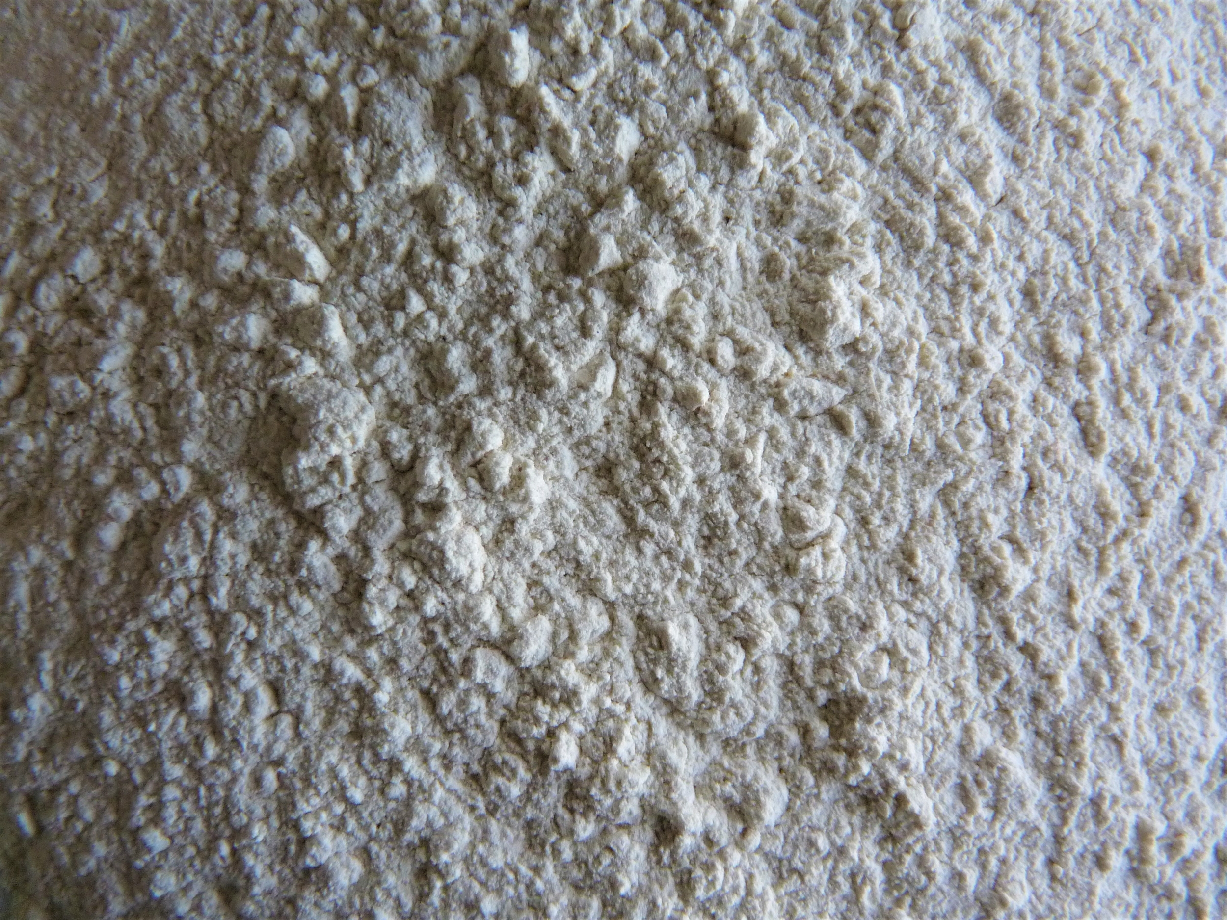 Céleri poudre