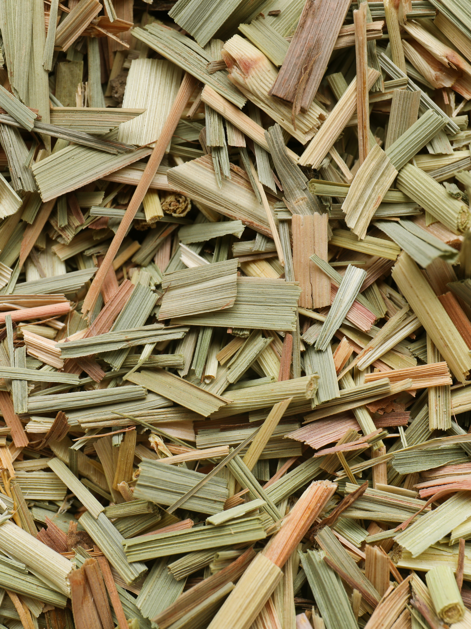 citronnelle feuilles