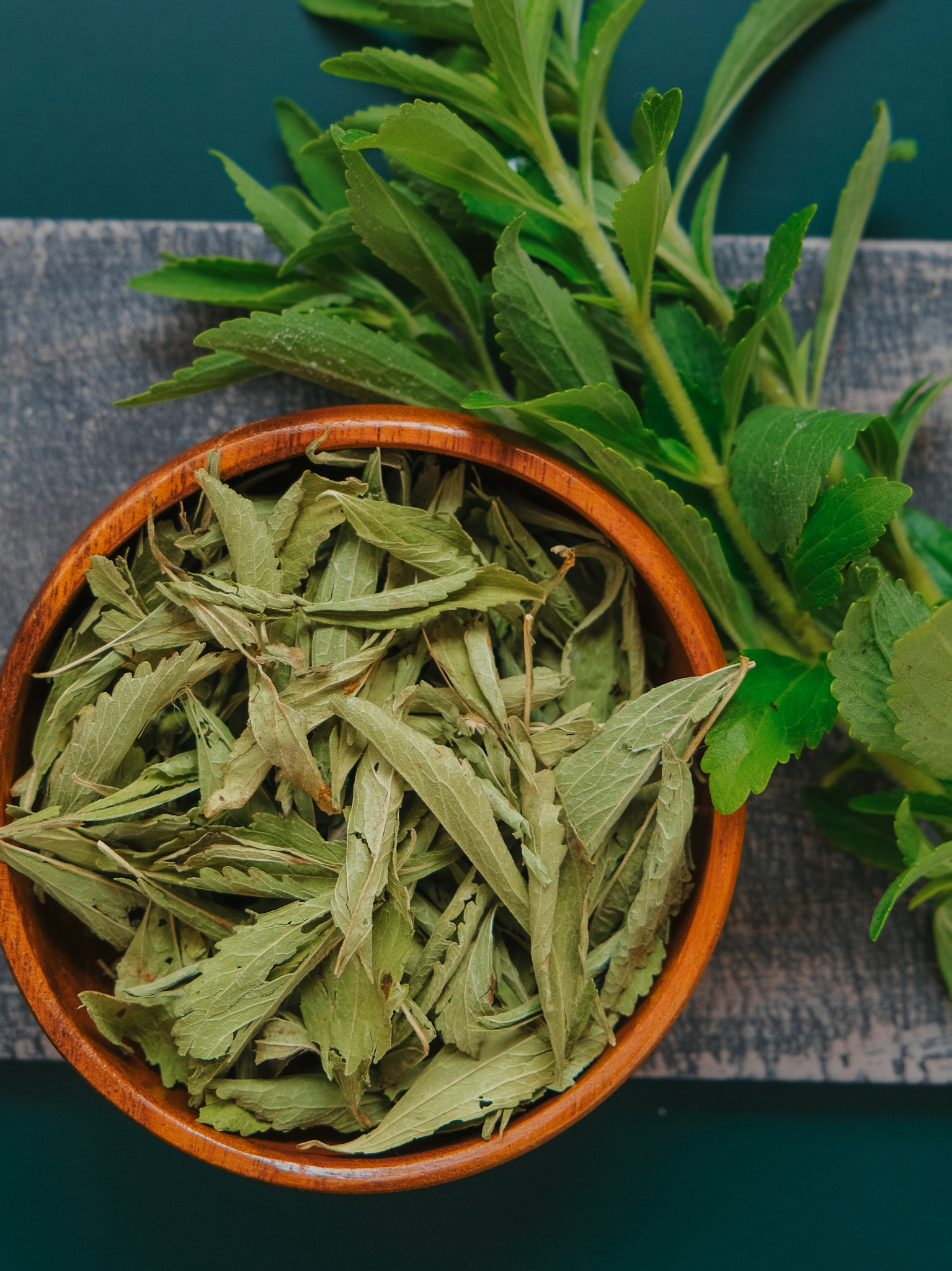 stevia feuilles