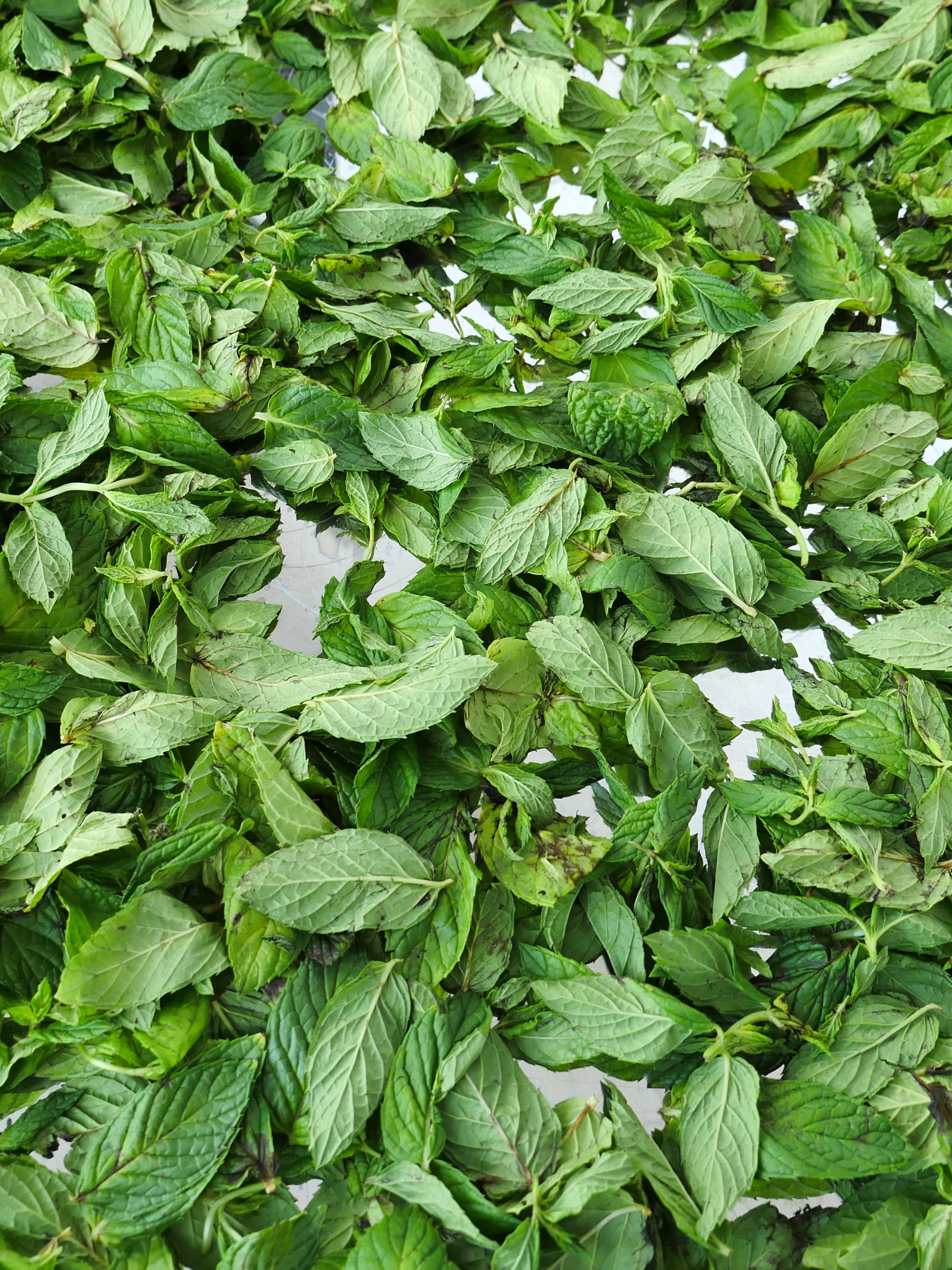 menthe