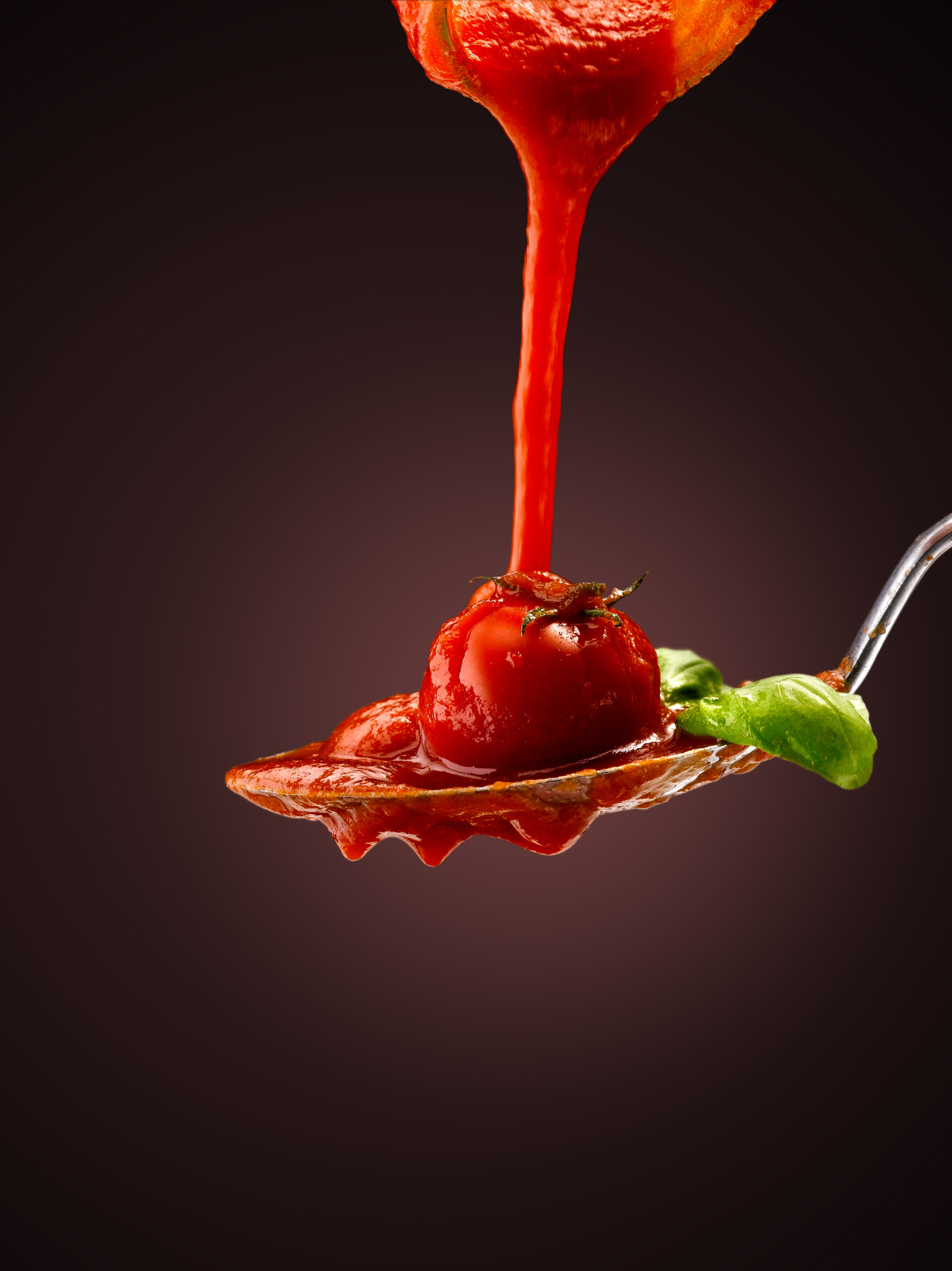 sauce tomate 2