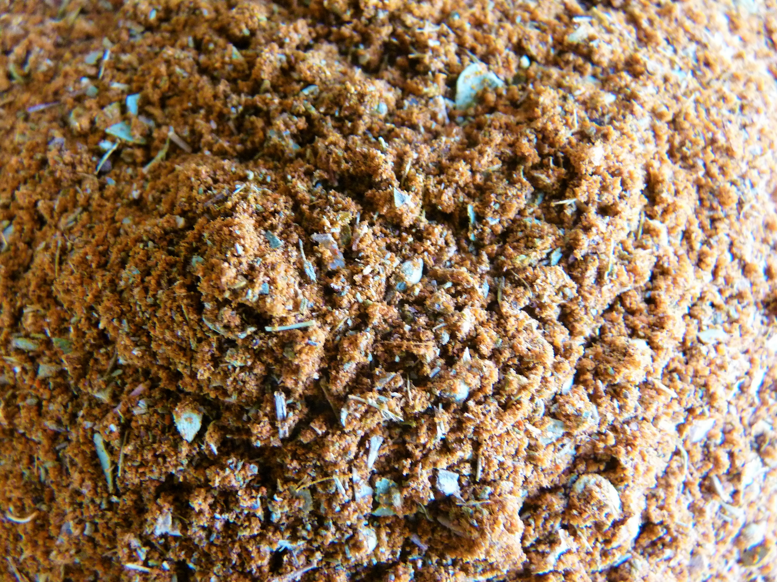 Cajun (2)