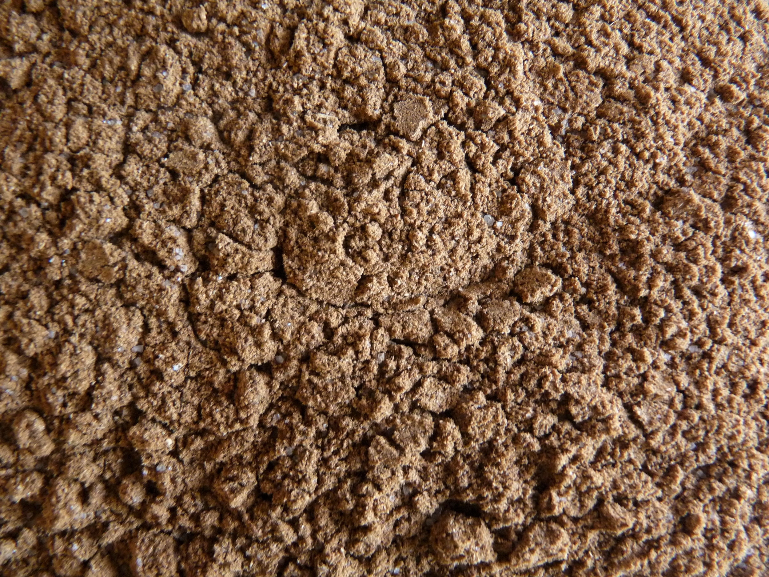 Pain épices maison