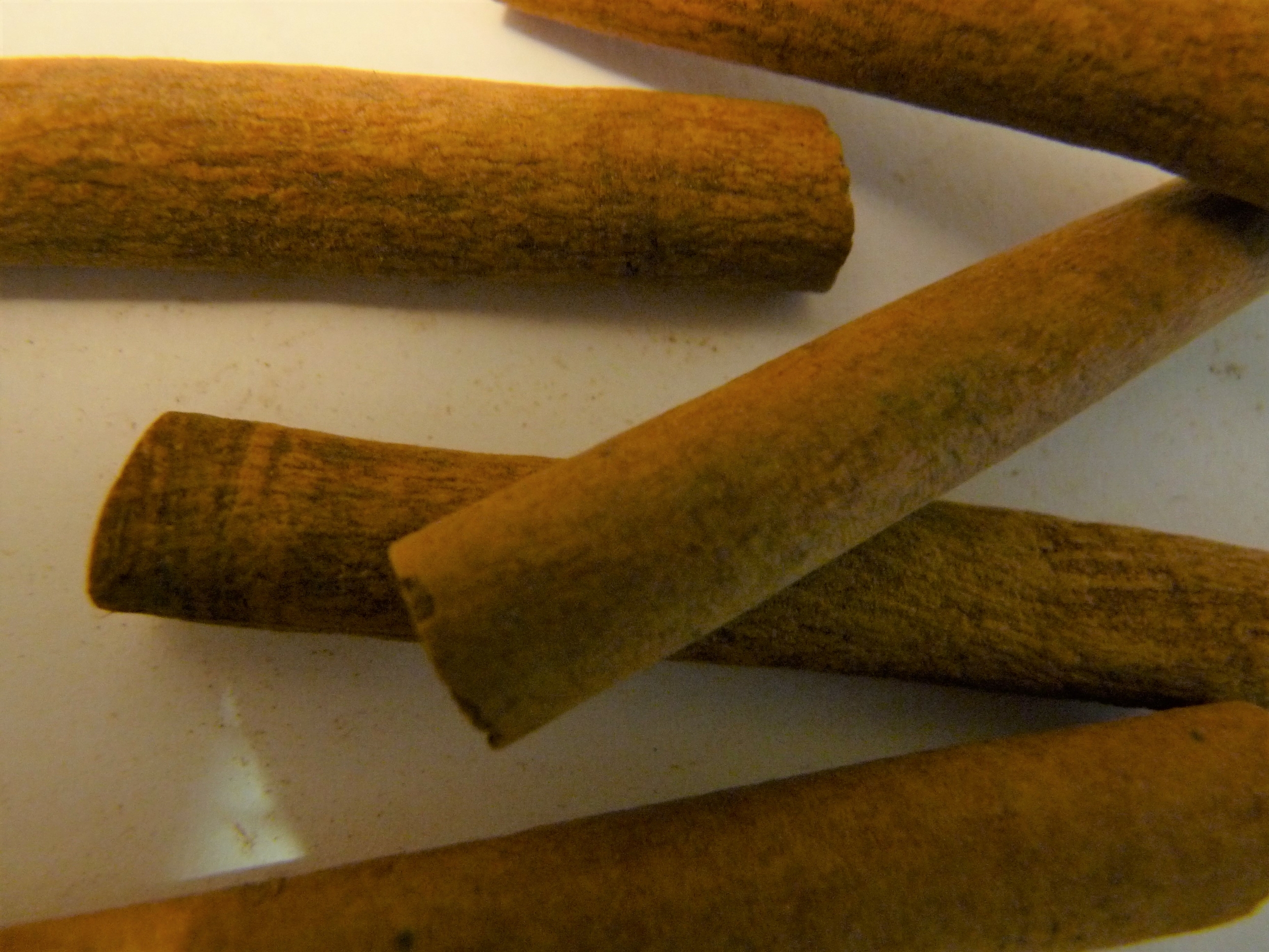 cannelle 22