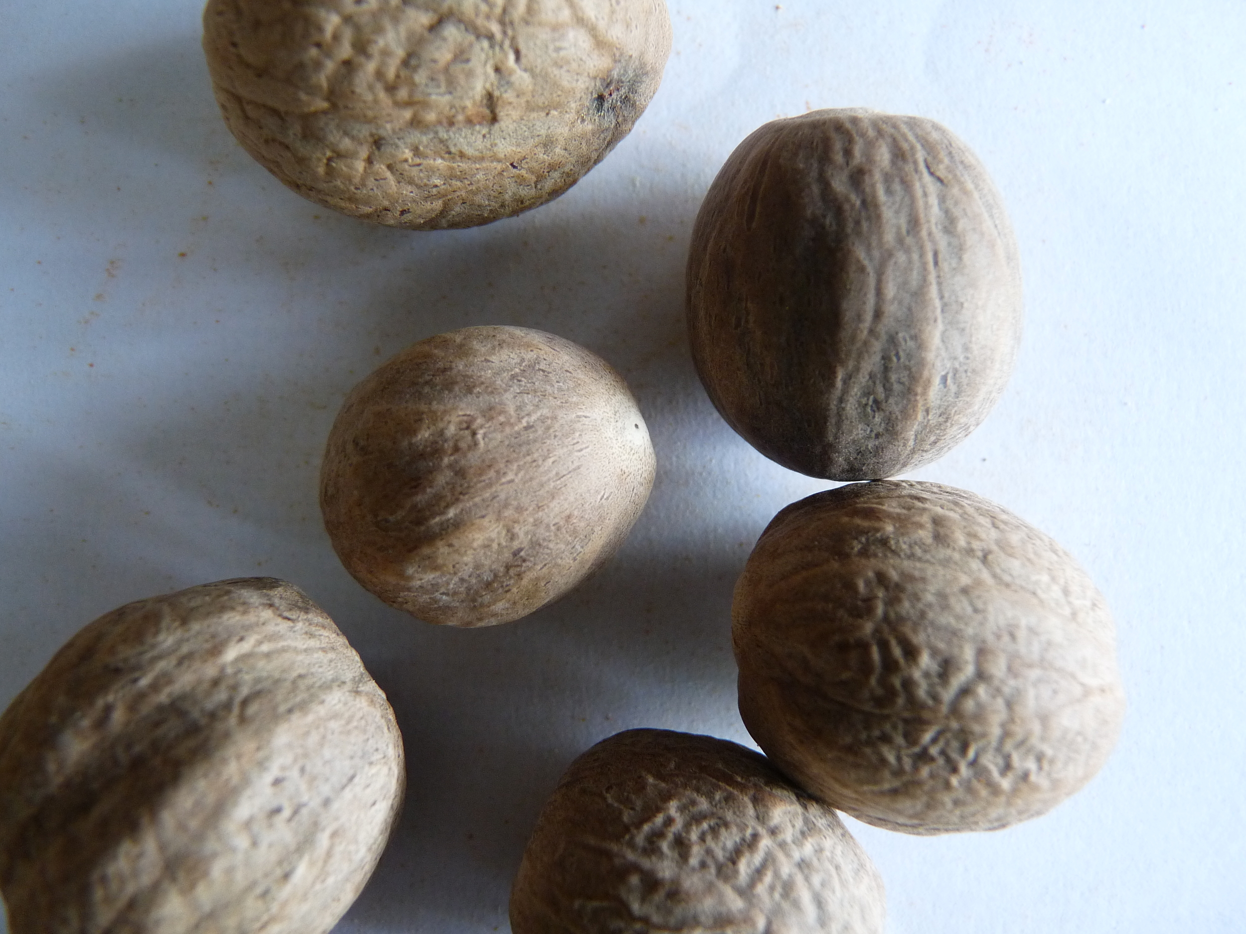 La noix de muscade est reconnue en cuisine mais aussi pour ses vertus